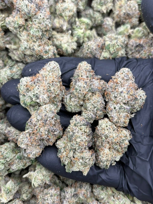 Bubblegum Slushies